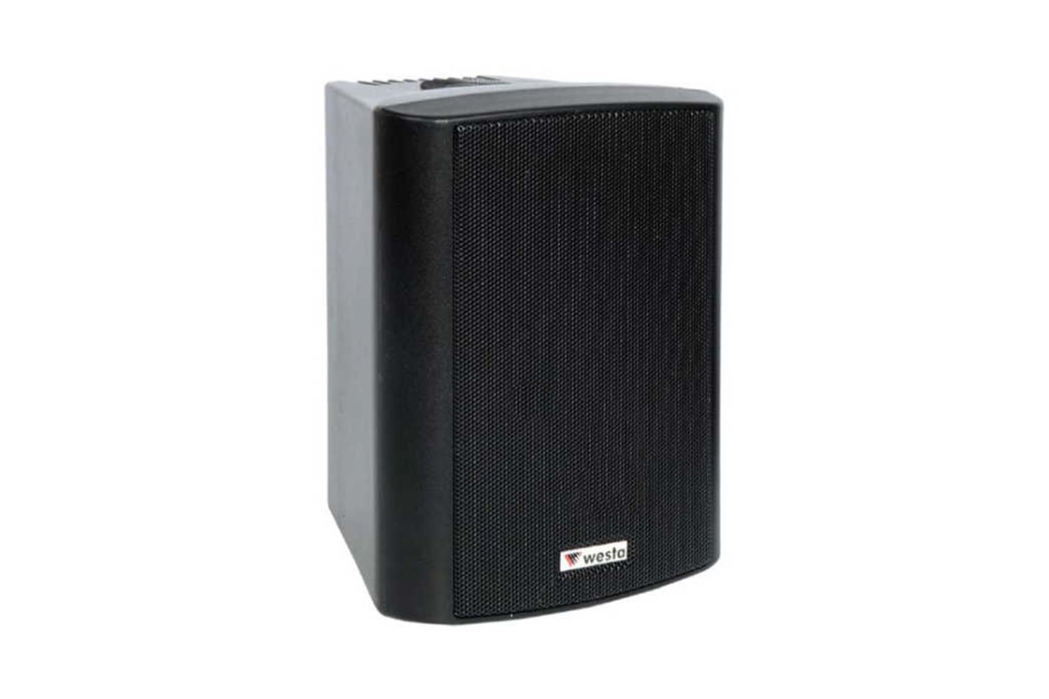 Westa WS-5TB 125W Siyah Kabin Hoparlör