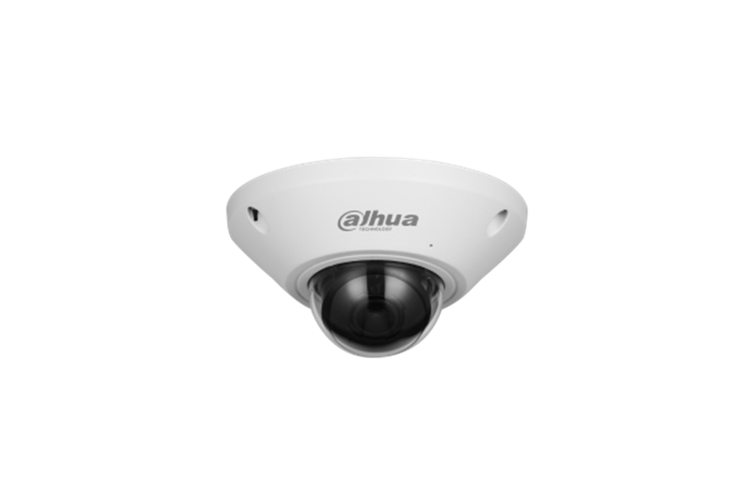 Dahua IPC-EB5541-AS 5 MP Panaromik Fisheye Kamera