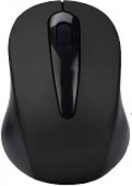 Platoon PL-1866 Kablosuz Mouse