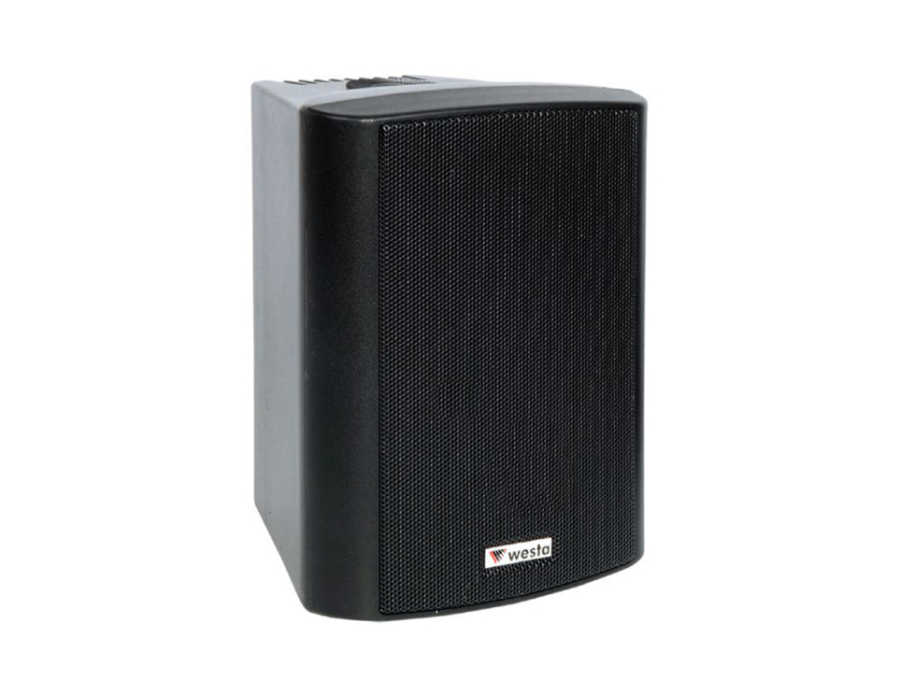 Westa WS-5TB 125W Siyah Kabin Hoparlör (İkili Takım)