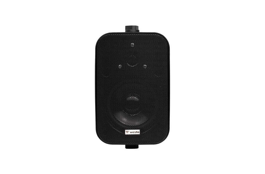 Westa WM 302TB Trafolu Duvar Tipi Hoparlör