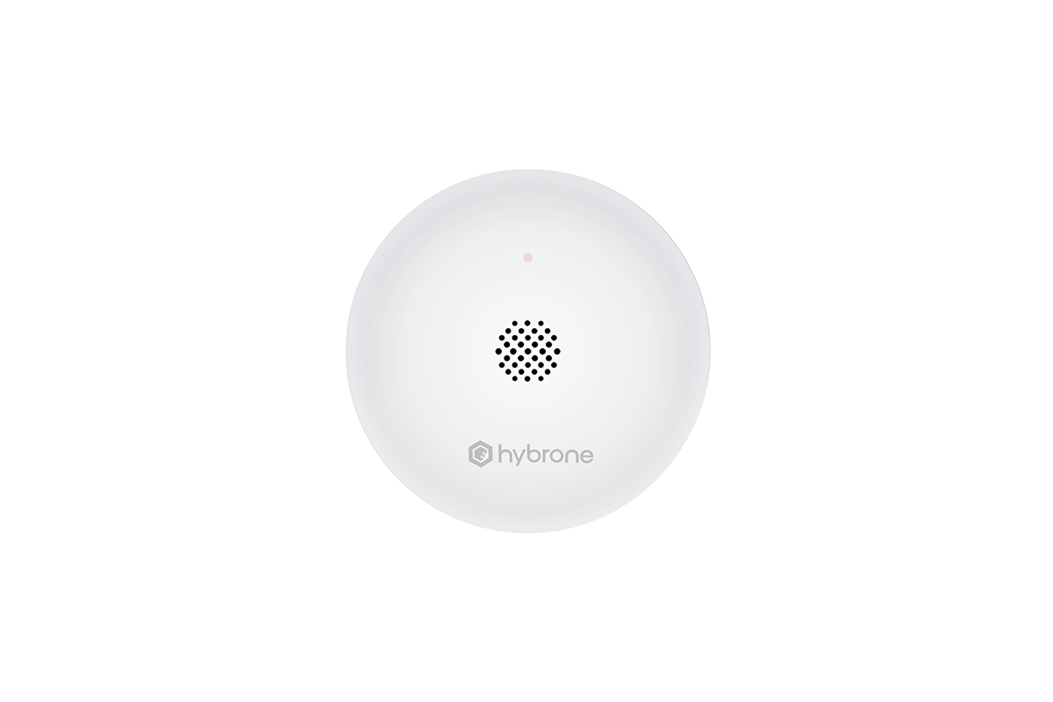Hybrone HY-SW1031-WL Akıllı Su Baskın Sensörü